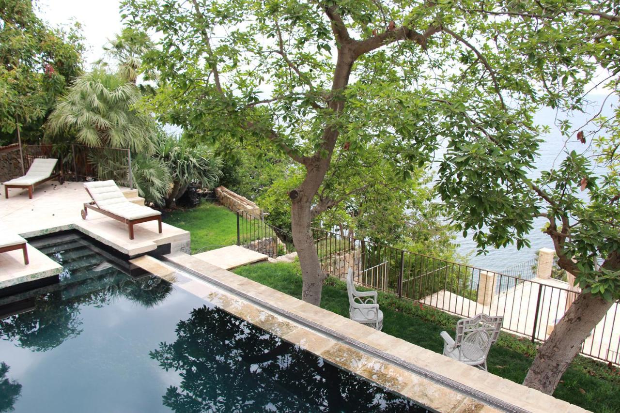 El Jardin Botanico Villa Luz 알테아 외부 사진