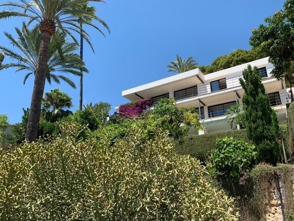 El Jardin Botanico Villa Luz 알테아 외부 사진
