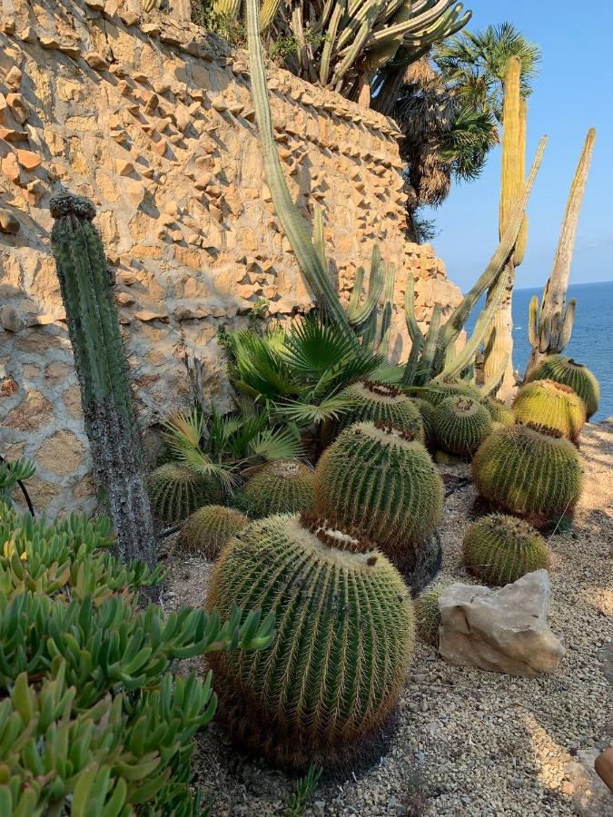 El Jardin Botanico Villa Luz 알테아 외부 사진